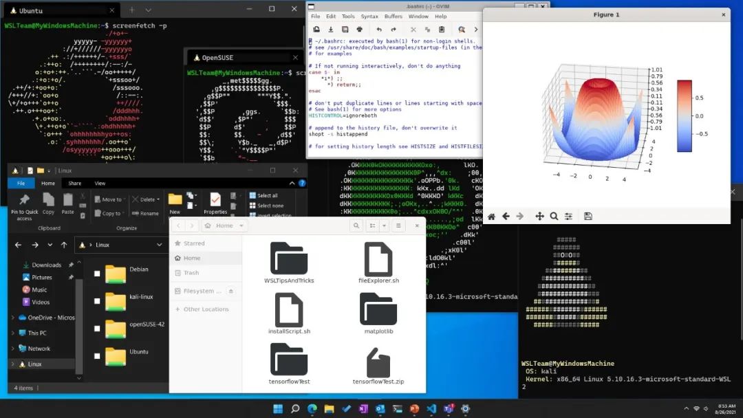 适用于 Linux 的 Windows 子系统版本 1.0.0 正式发布